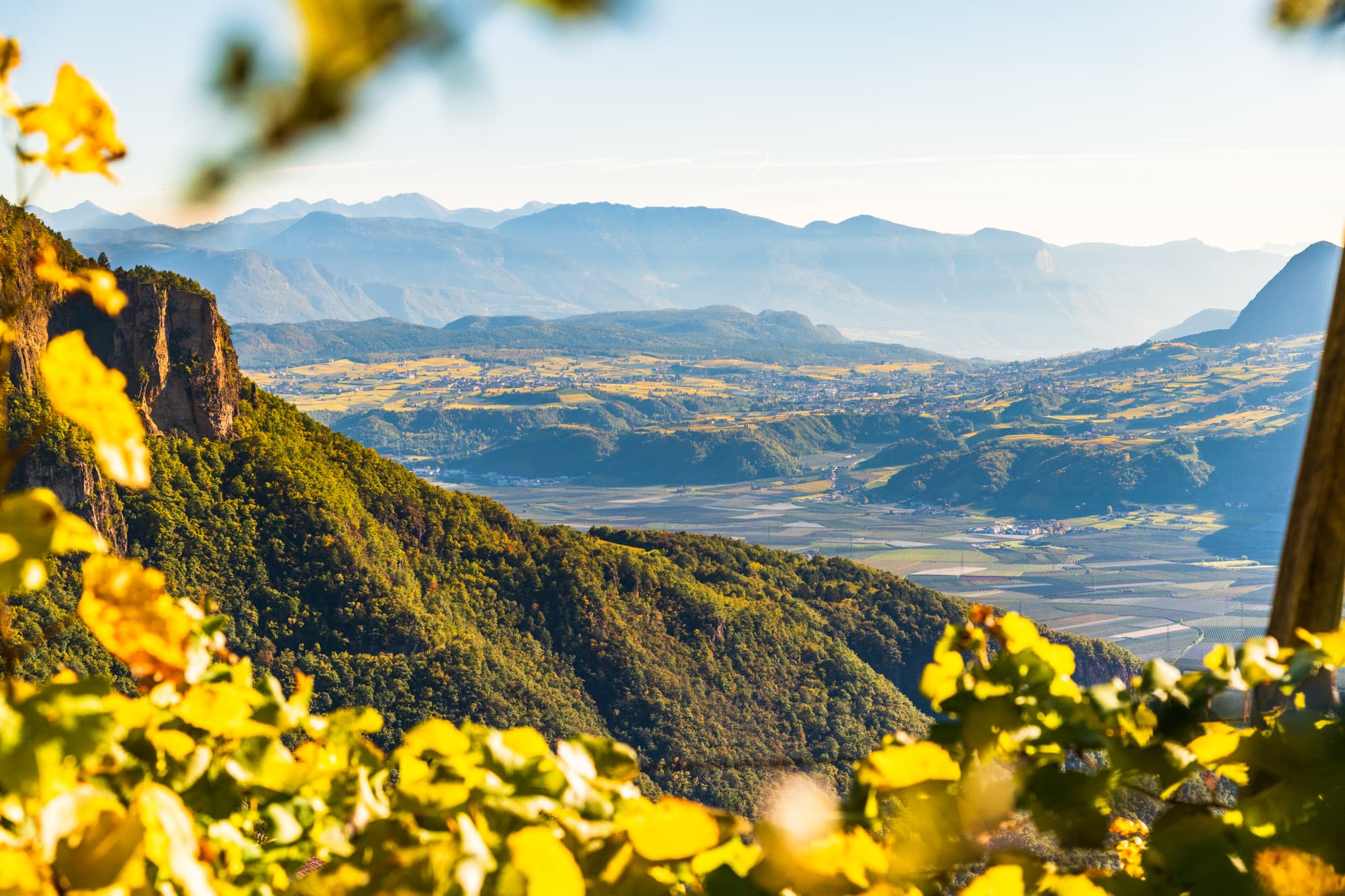 Frühlingsangebot 4=3