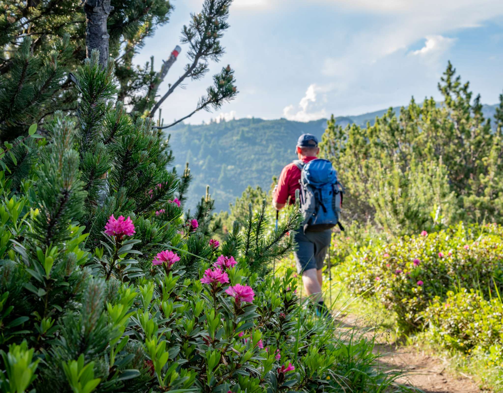 Frühbucher Aktiv- und Genusswochen
