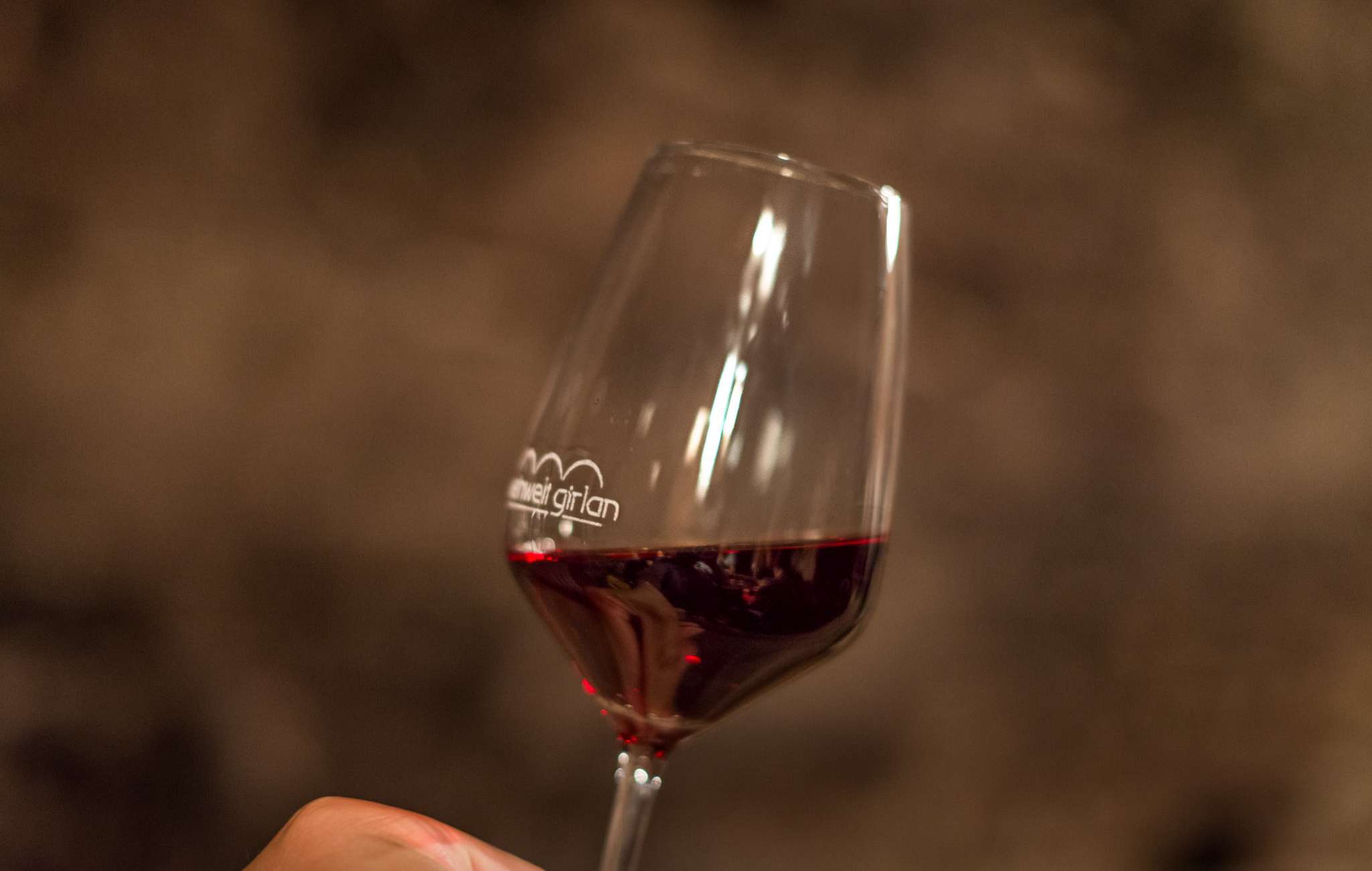 Gastronomie & Wein